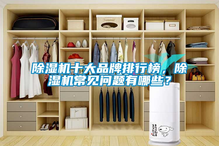 除濕機(jī)十大品牌排行榜，除濕機(jī)常見(jiàn)問(wèn)題有哪些？
