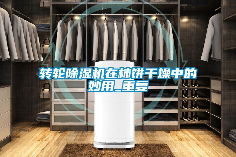 轉(zhuǎn)輪除濕機在柿餅干燥中的妙用_重復