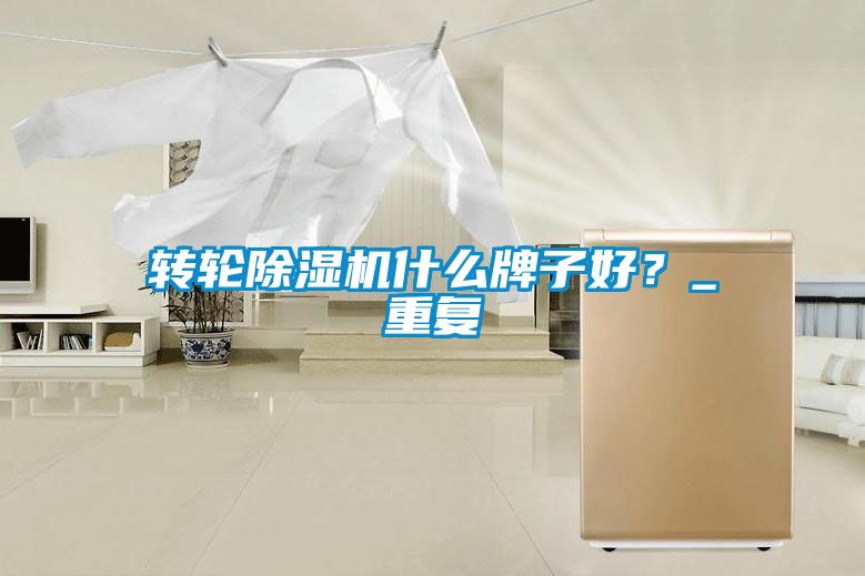 轉輪除濕機什么牌子好？_重復