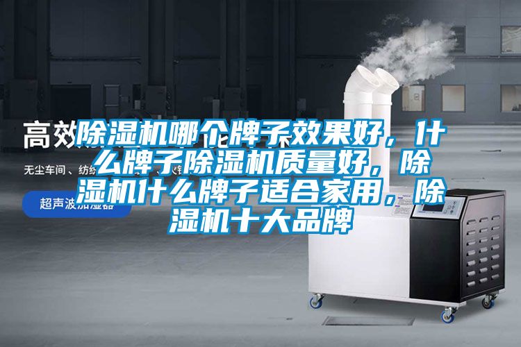除濕機(jī)哪個牌子效果好，什么牌子除濕機(jī)質(zhì)量好，除濕機(jī)什么牌子適合家用，除濕機(jī)十大品牌