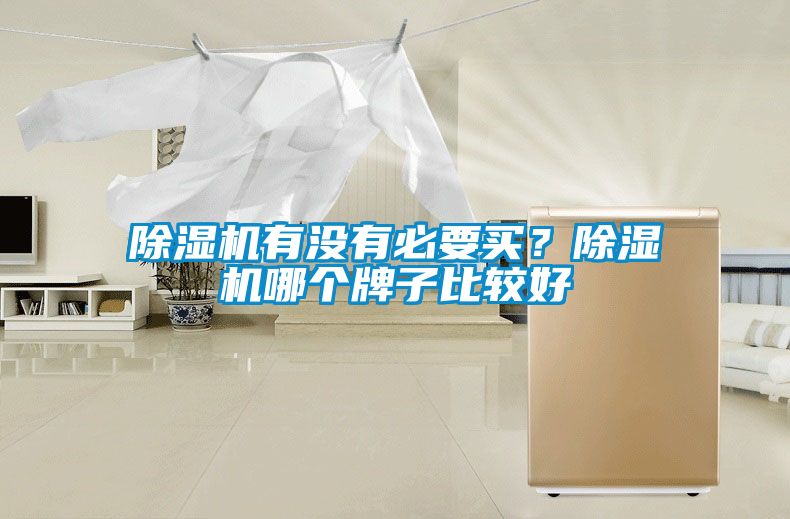 除濕機(jī)有沒有必要買？除濕機(jī)哪個(gè)牌子比較好