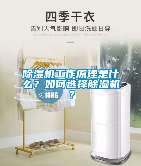 除濕機工作原理是什么？如何選擇除濕機？