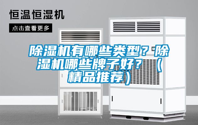 除濕機有哪些類型？除濕機哪些牌子好？（精品推薦）