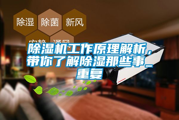 除濕機工作原理解析,帶你了解除濕那些事_重復