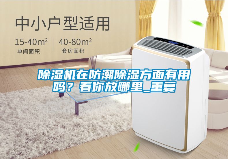 除濕機在防潮除濕方面有用嗎？看你放哪里_重復