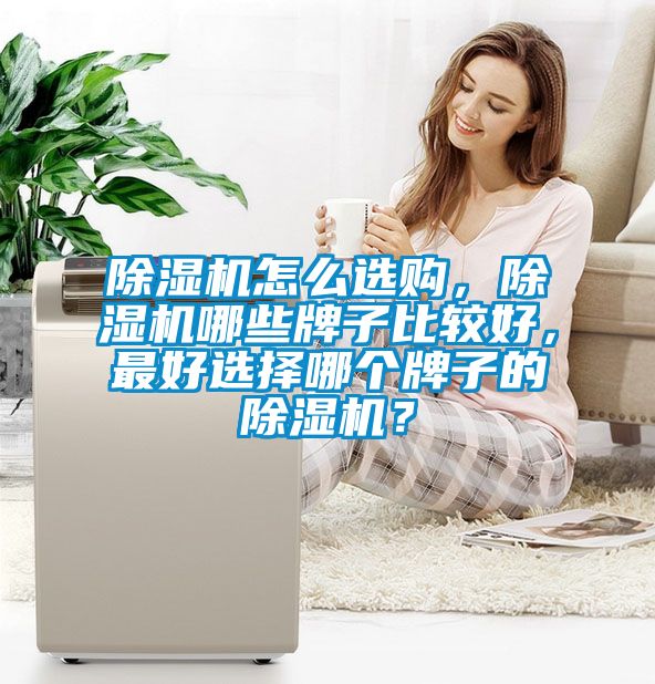 除濕機怎么選購，除濕機哪些牌子比較好，最好選擇哪個牌子的除濕機？