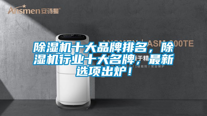 除濕機十大品牌排名，除濕機行業(yè)十大名牌，最新選項出爐！