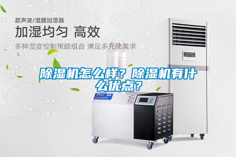 除濕機怎么樣？除濕機有什么優點？