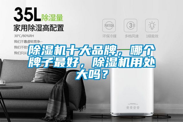 除濕機(jī)十大品牌，哪個(gè)牌子最好，除濕機(jī)用處大嗎？