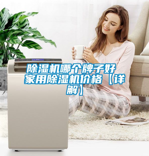 除濕機(jī)哪個牌子好 家用除濕機(jī)價格【詳解】