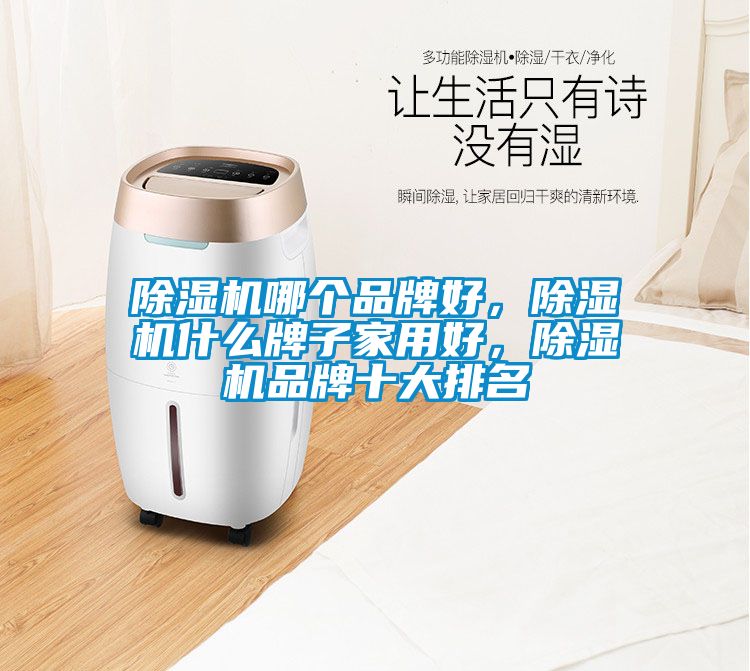 除濕機(jī)哪個(gè)品牌好，除濕機(jī)什么牌子家用好，除濕機(jī)品牌十大排名