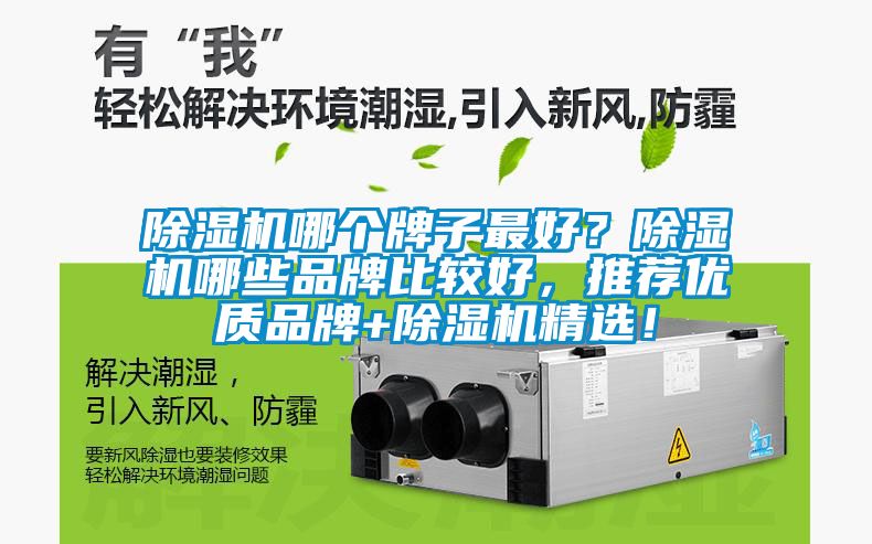 除濕機(jī)哪個(gè)牌子最好？除濕機(jī)哪些品牌比較好，推薦優(yōu)質(zhì)品牌+除濕機(jī)精選！