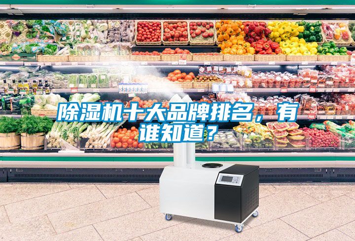 除濕機(jī)十大品牌排名，有誰(shuí)知道？
