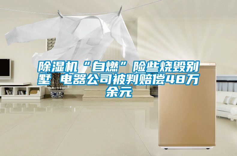 除濕機(jī)“自燃”險(xiǎn)些燒毀別墅 電器公司被判賠償48萬余元