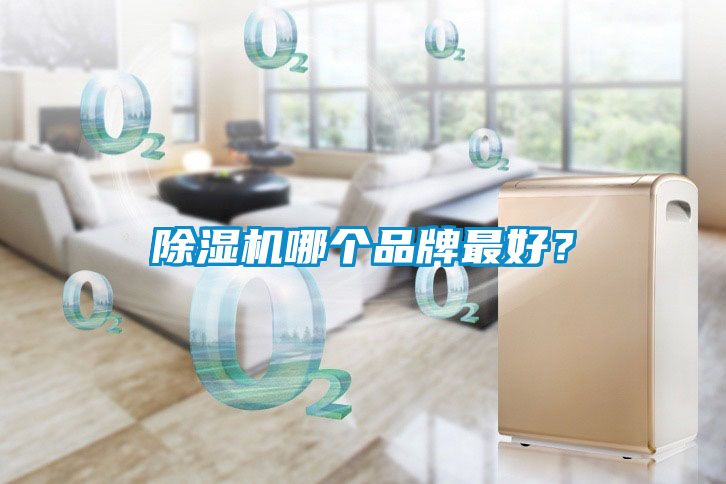 除濕機哪個品牌最好？