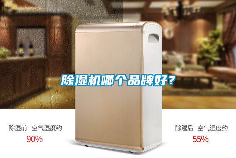 除濕機哪個品牌好？