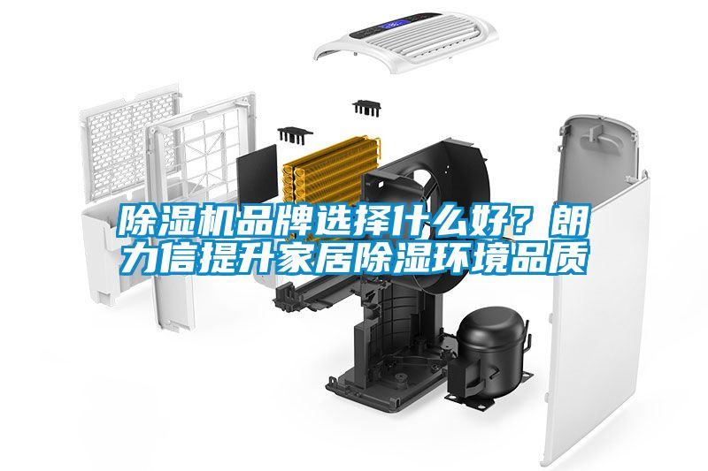 除濕機品牌選擇什么好？朗力信提升家居除濕環境品質