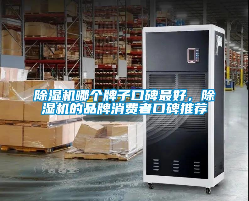 除濕機(jī)哪個牌子口碑最好，除濕機(jī)的品牌消費者口碑推薦