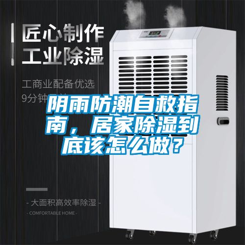 陰雨防潮自救指南，居家除濕到底該怎么做？