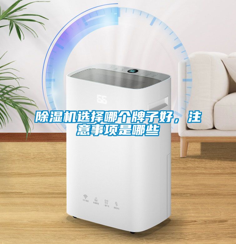 除濕機選擇哪個牌子好，注意事項是哪些