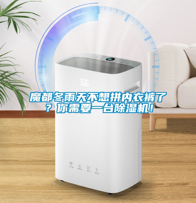 魔都冬雨天不想拼內衣褲了？你需要一臺除濕機！