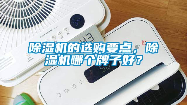 除濕機(jī)的選購(gòu)要點(diǎn)，除濕機(jī)哪個(gè)牌子好？