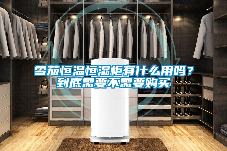 雪茄恒溫恒濕柜有什么用嗎？到底需要不需要購(gòu)買(mǎi)