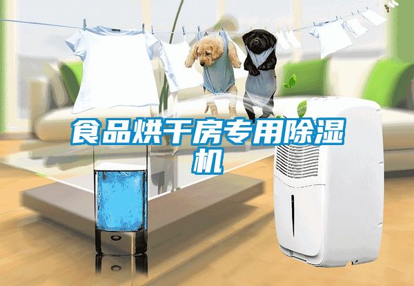 食品烘干房專(zhuān)用除濕機(jī)