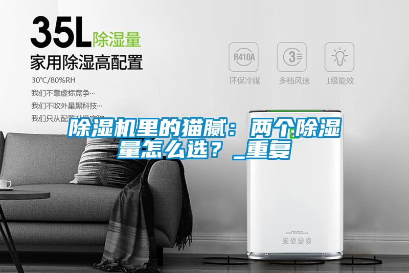 除濕機(jī)里的貓膩：兩個(gè)除濕量怎么選？_重復(fù)