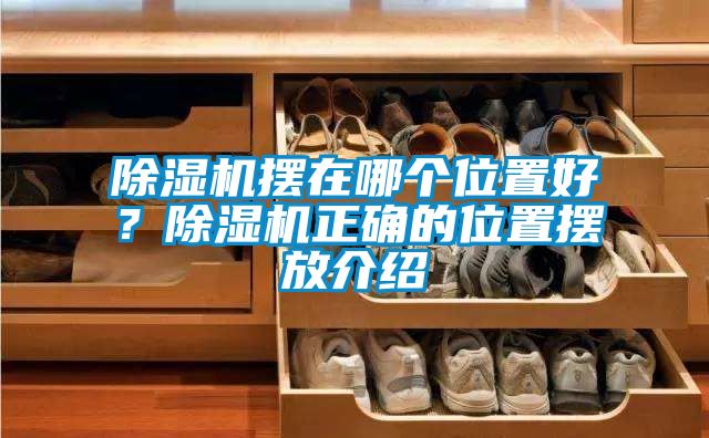 除濕機(jī)擺在哪個(gè)位置好？除濕機(jī)正確的位置擺放介紹