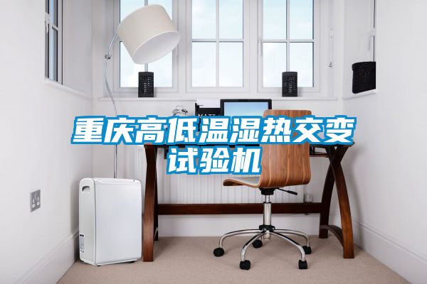 重慶高低溫濕熱交變試驗(yàn)機(jī)