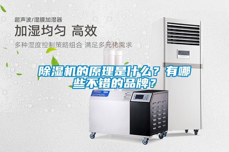 除濕機的原理是什么？有哪些不錯的品牌？