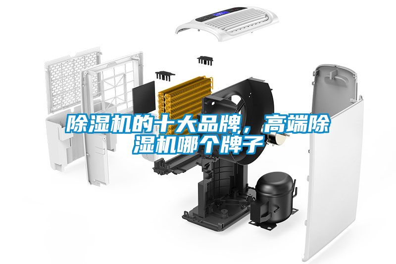除濕機的十大品牌，高端除濕機哪個牌子