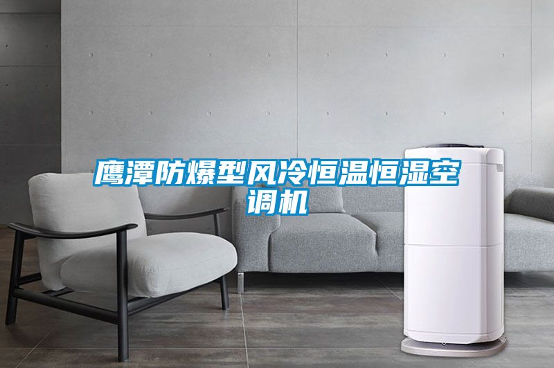 鷹潭防爆型風(fēng)冷恒溫恒濕空調(diào)機
